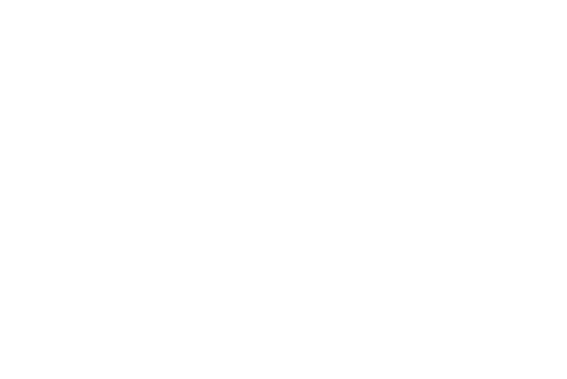 cnes